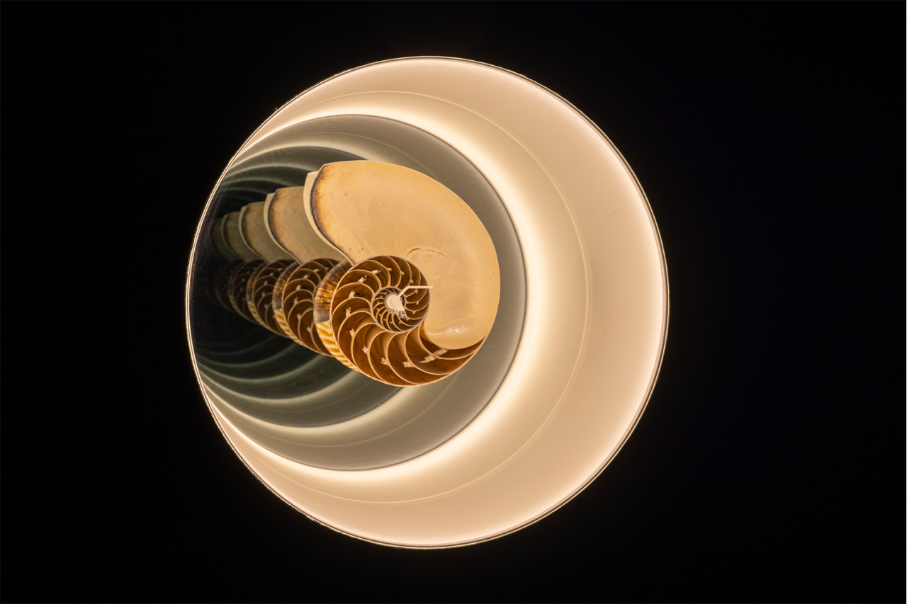 Archillect ID 390634