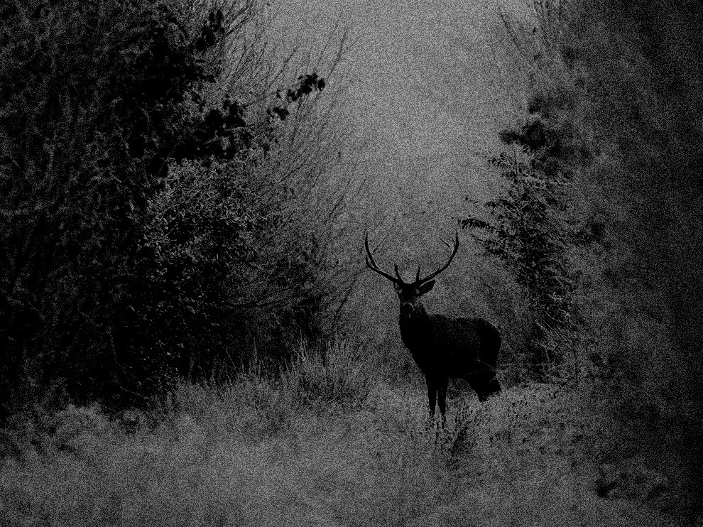 Archillect ID 390636