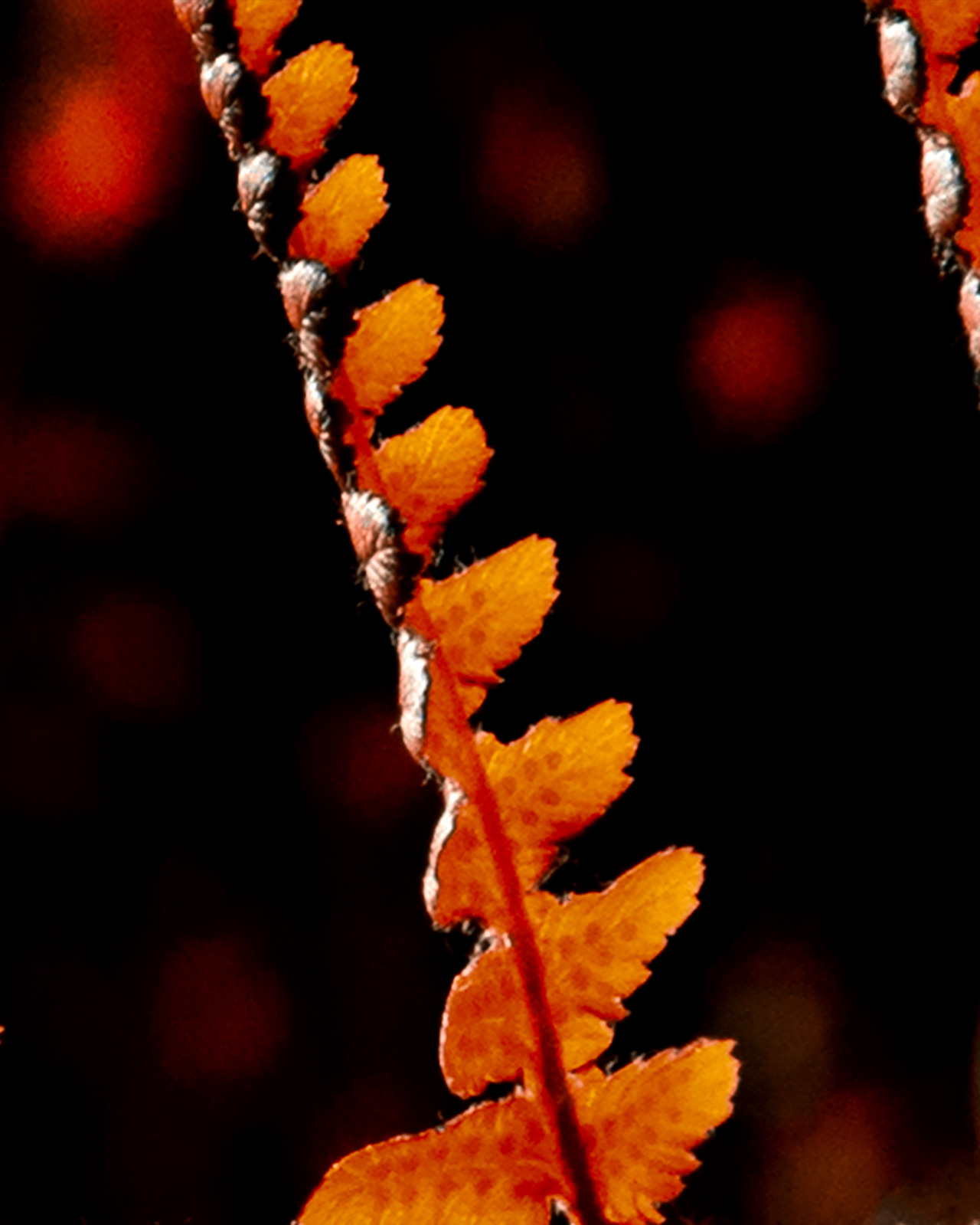 Archillect ID 390643