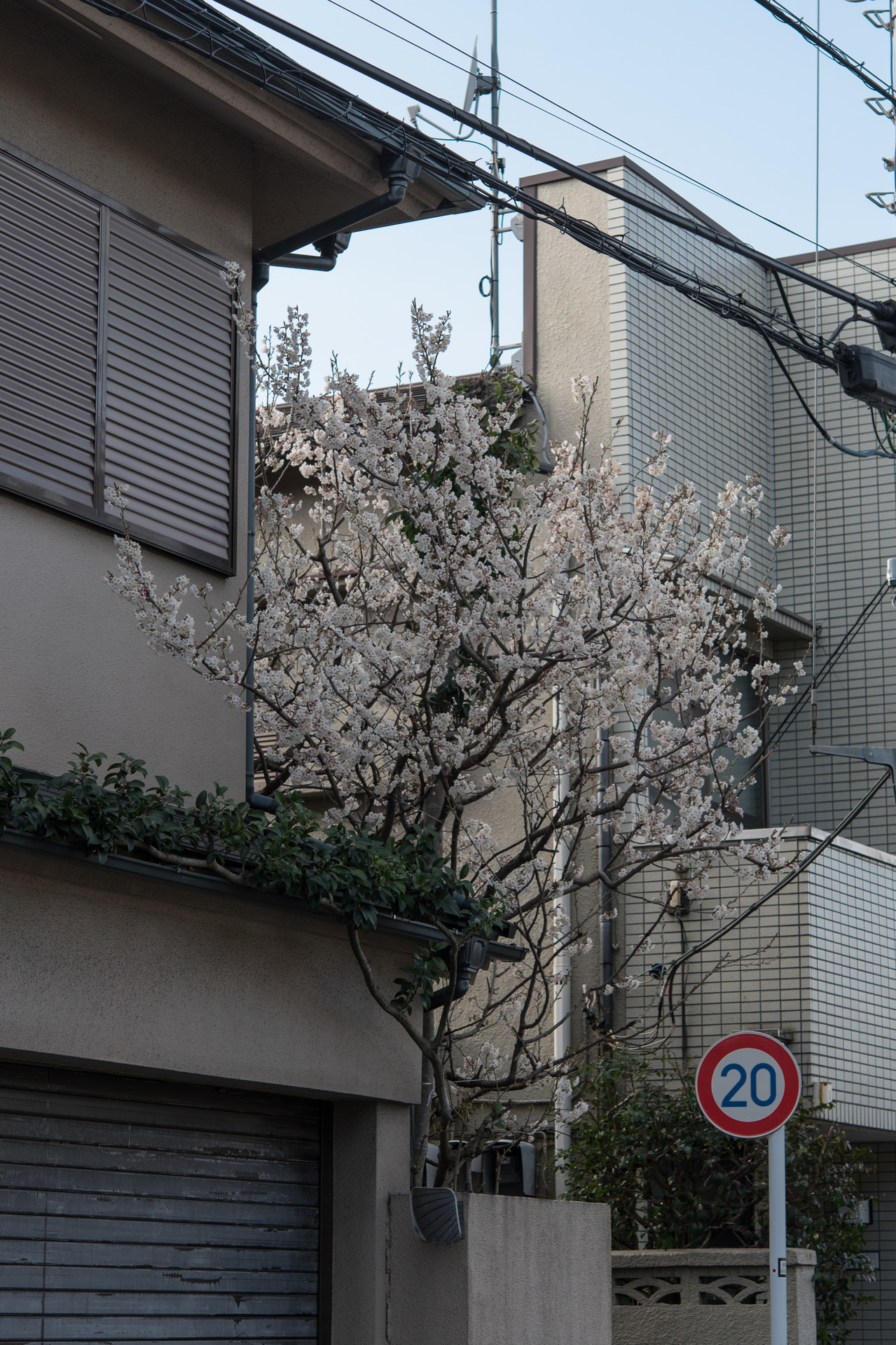 Archillect ID 390701