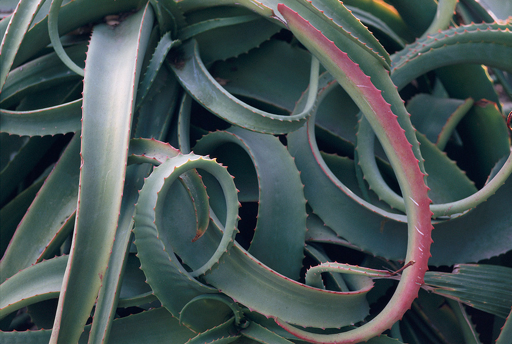 Archillect ID 390714