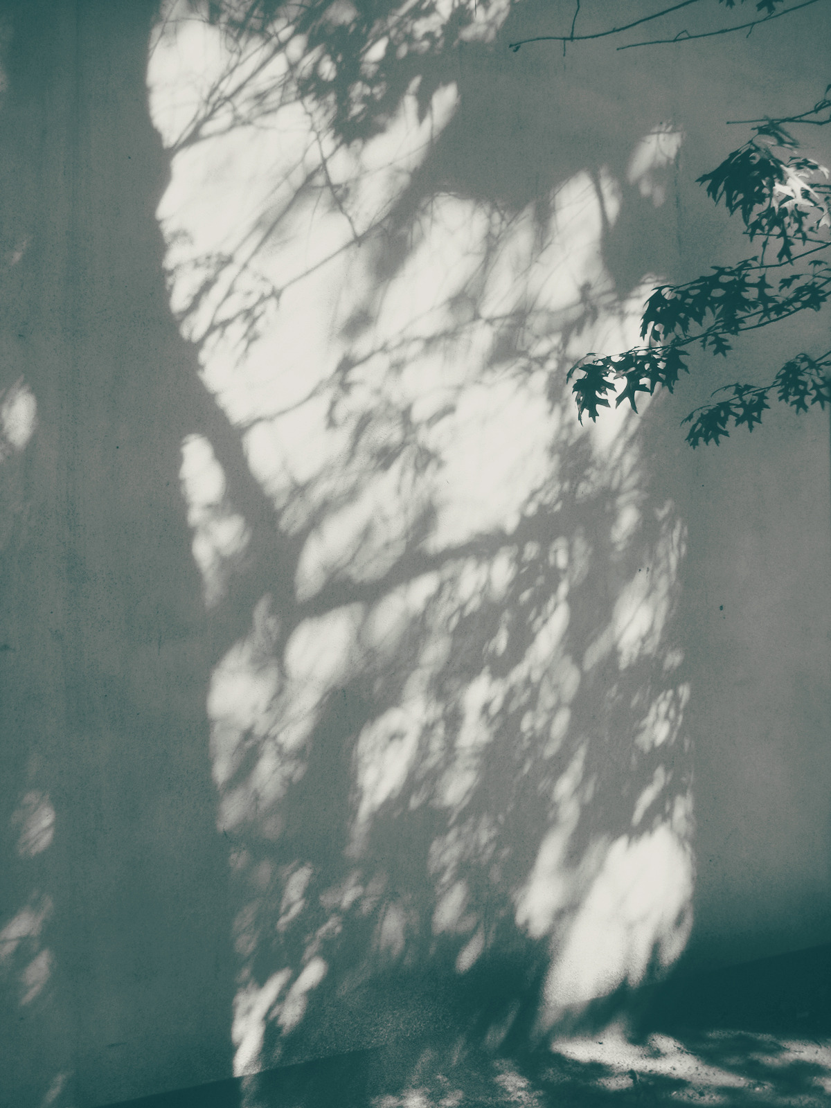 Archillect ID 390752