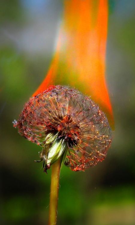 Archillect ID 390891