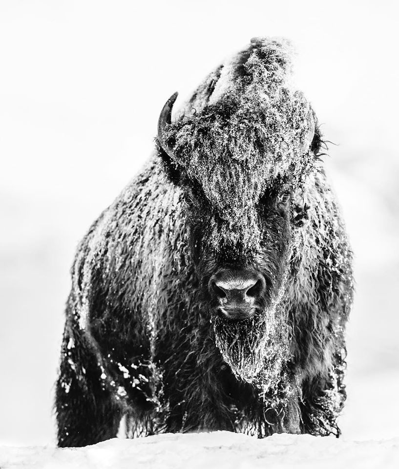 Archillect ID 390902