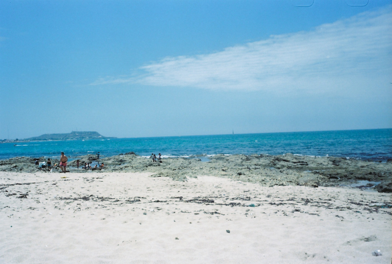 Archillect ID 390909