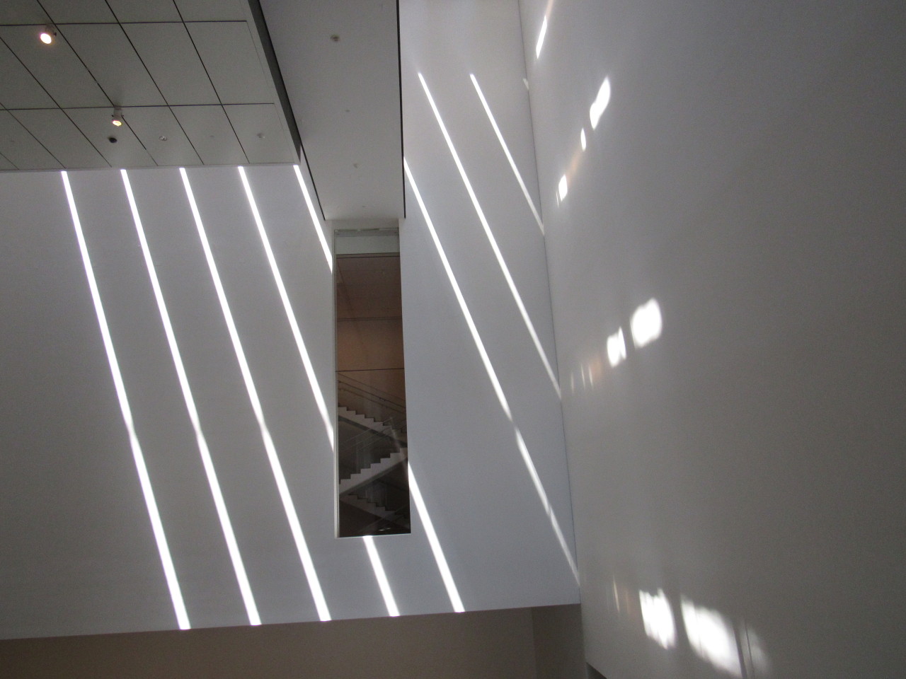 Archillect ID 390936