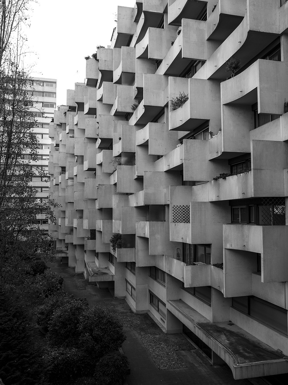 Archillect ID 390966