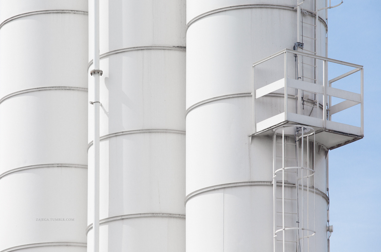 Archillect ID 390982