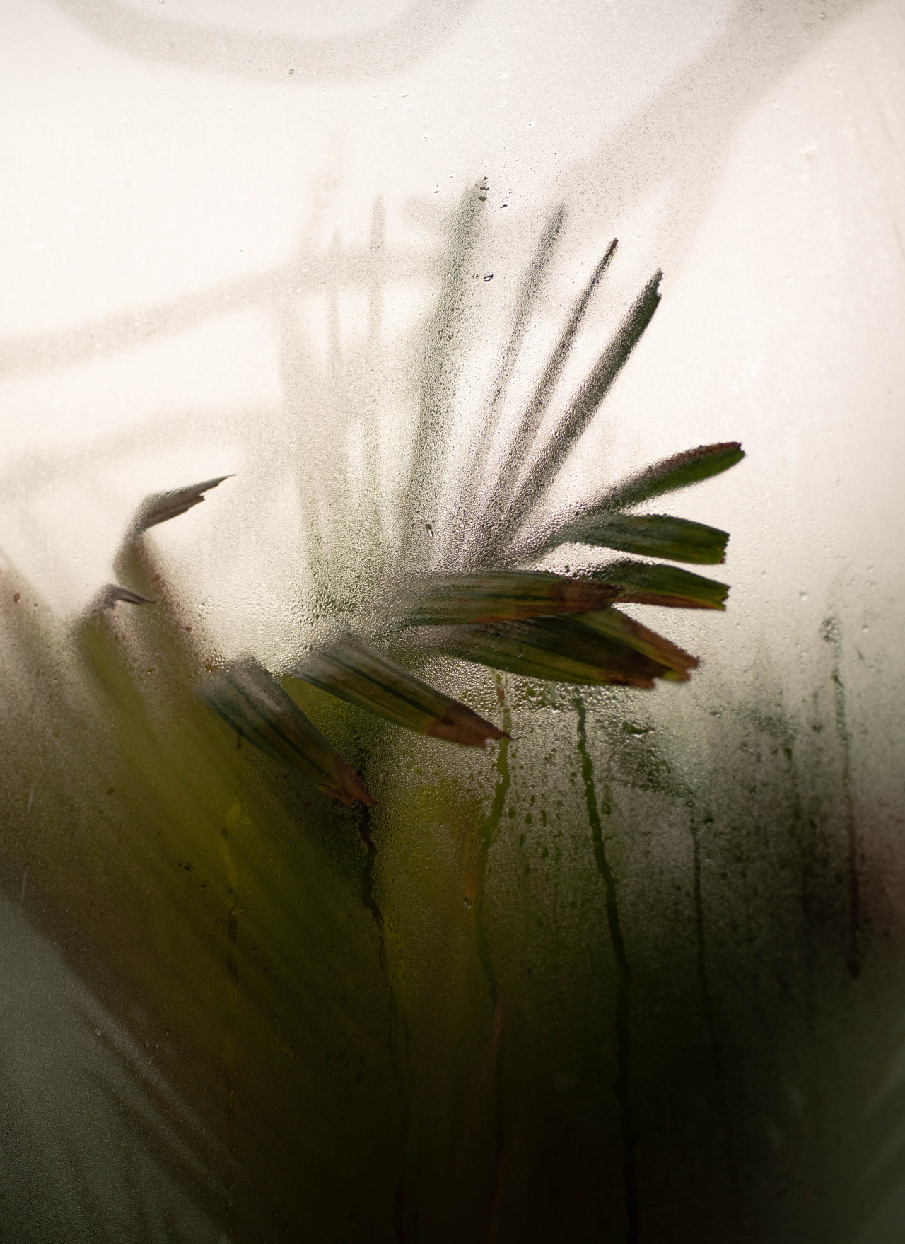 Archillect ID 390998