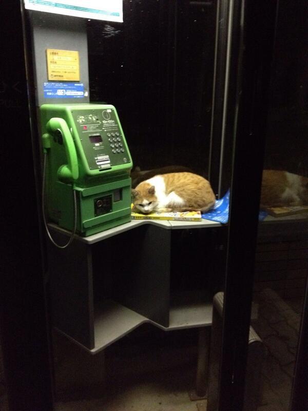 Archillect ID 391016