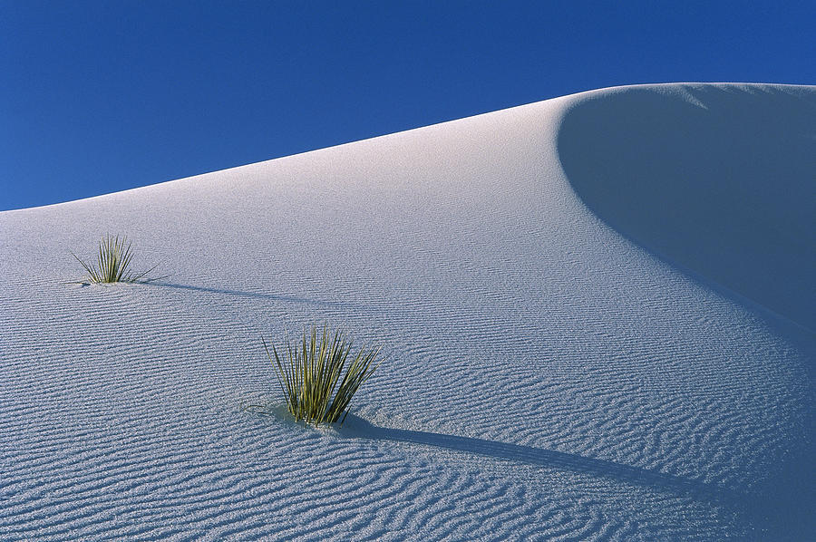 Archillect ID 391059