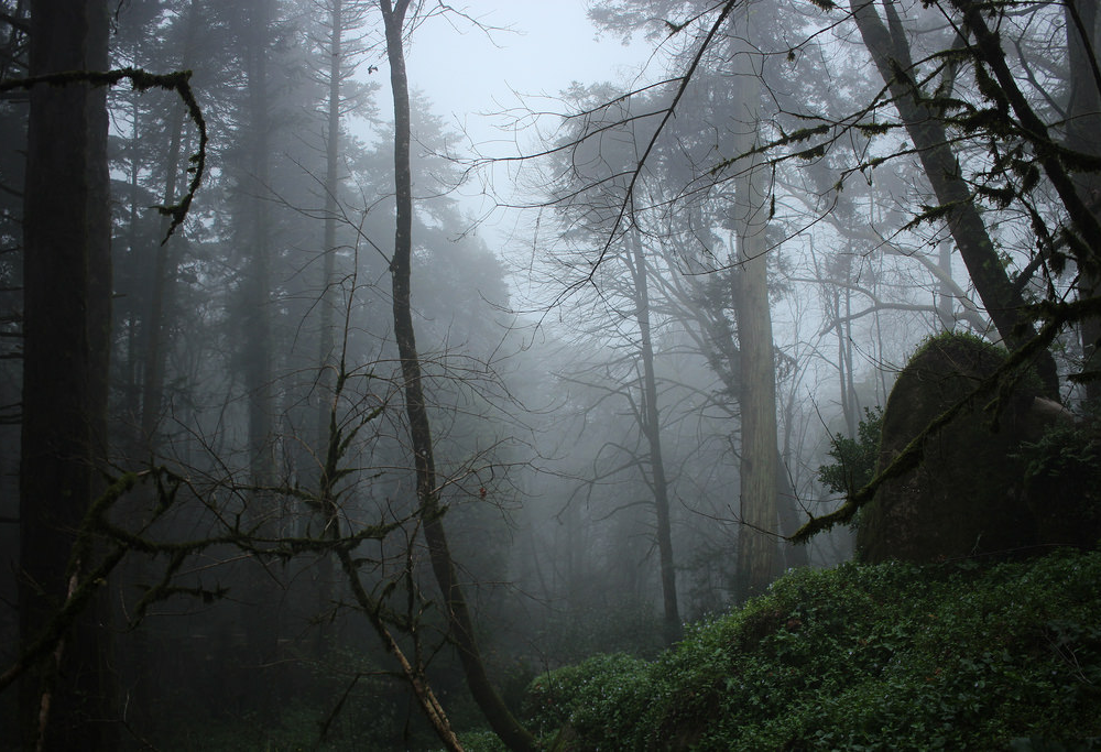 Archillect ID 391101