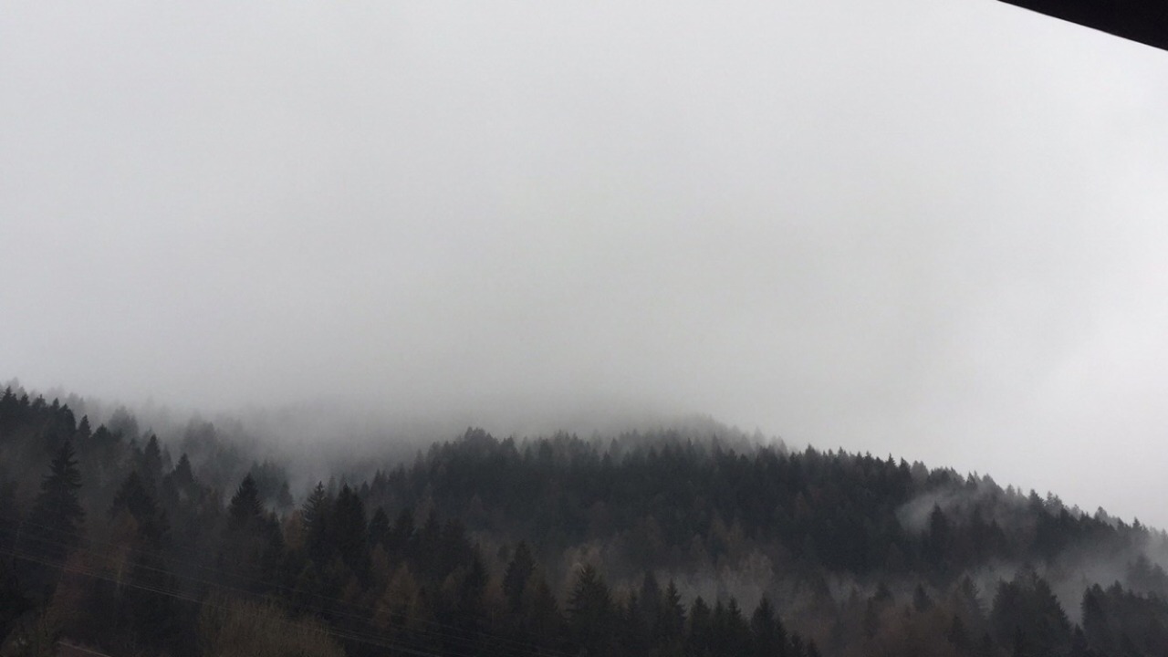 Archillect ID 391113