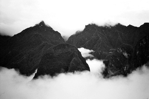 Archillect ID 391120