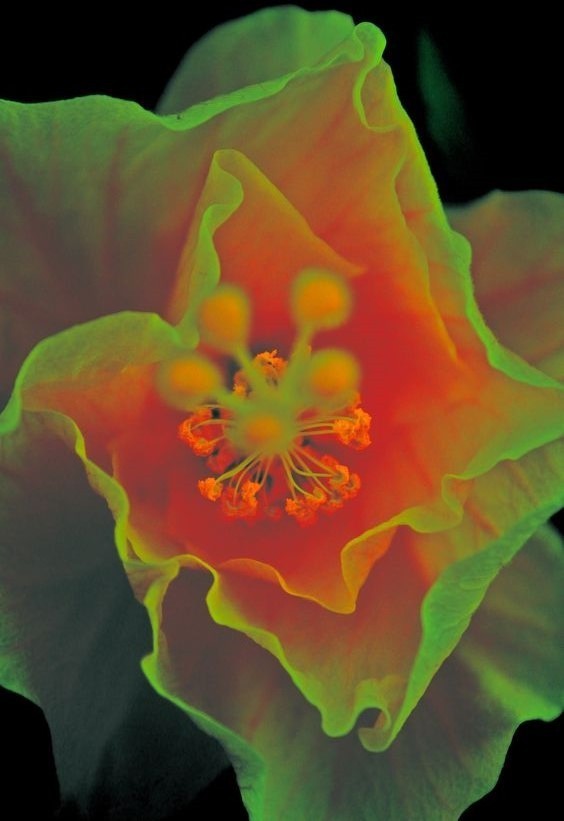 Archillect ID 391136