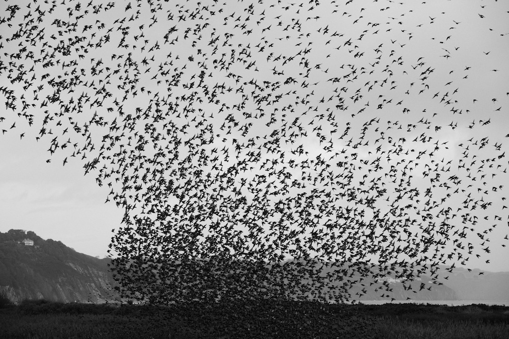 Archillect ID 391146