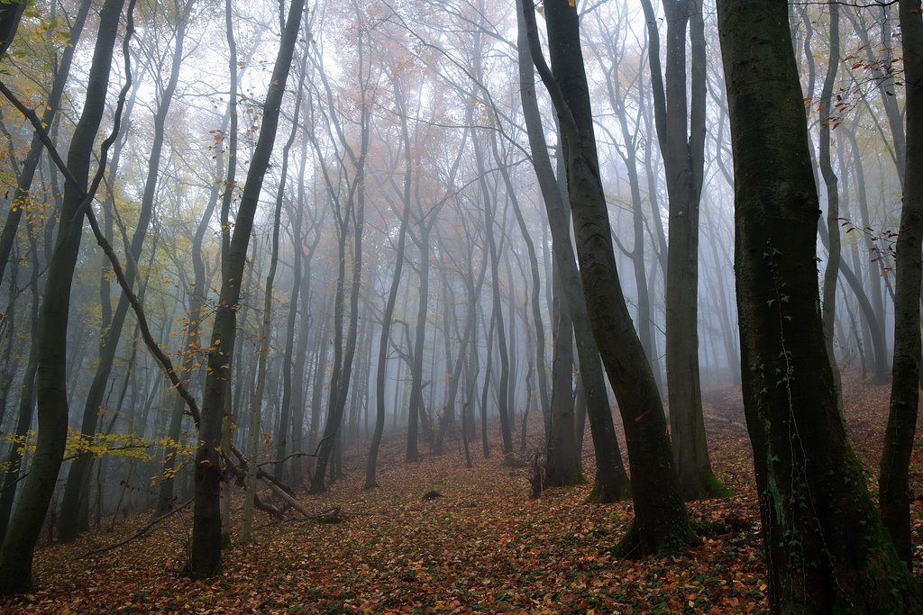 Archillect ID 391155