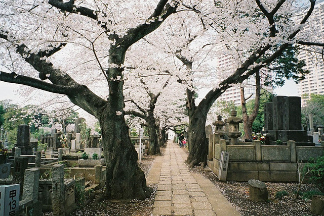 Archillect ID 391162