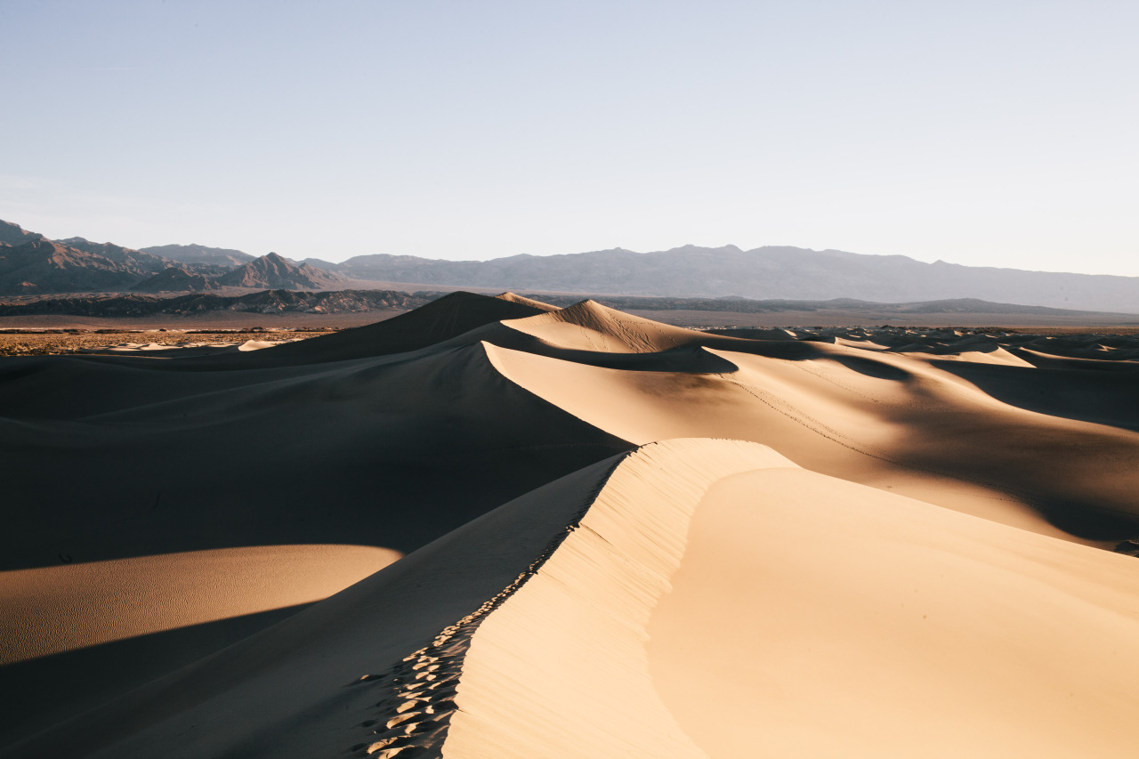 Archillect ID 391169