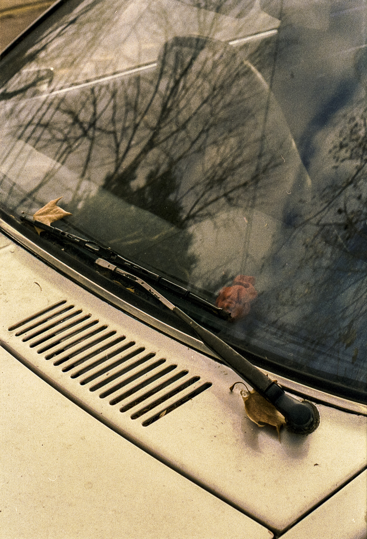 Archillect ID 391189