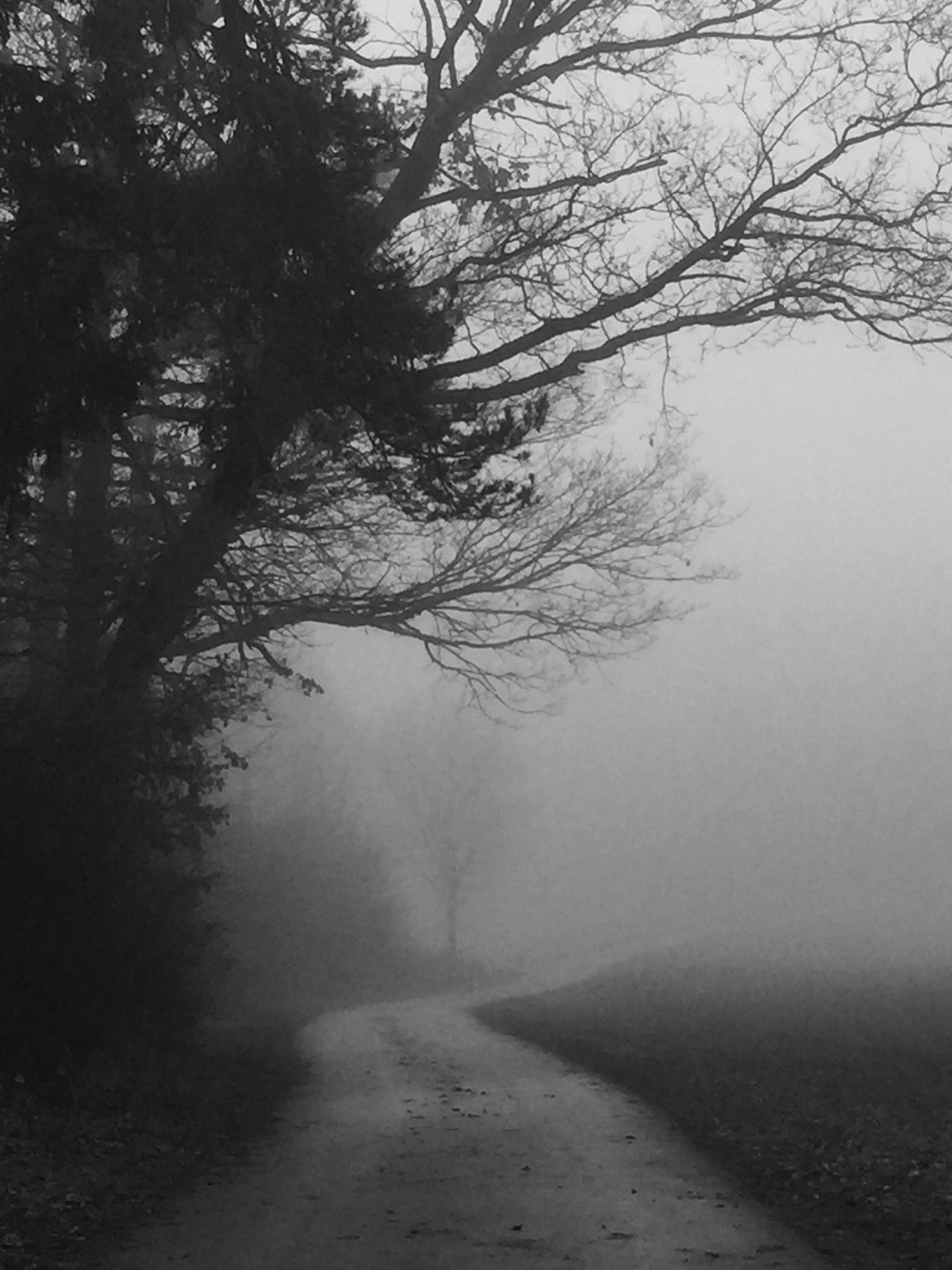 Archillect ID 391193