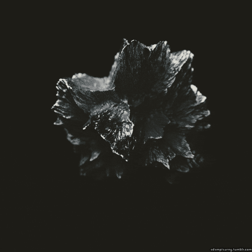 Archillect ID 391213