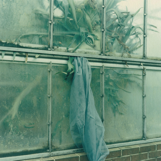 Archillect ID 391408