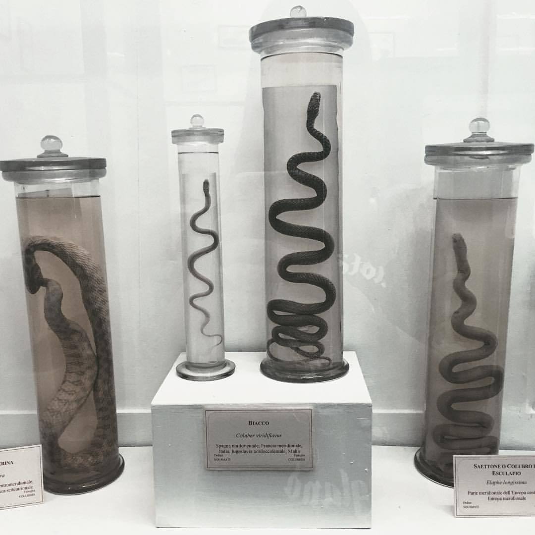 Archillect ID 391409