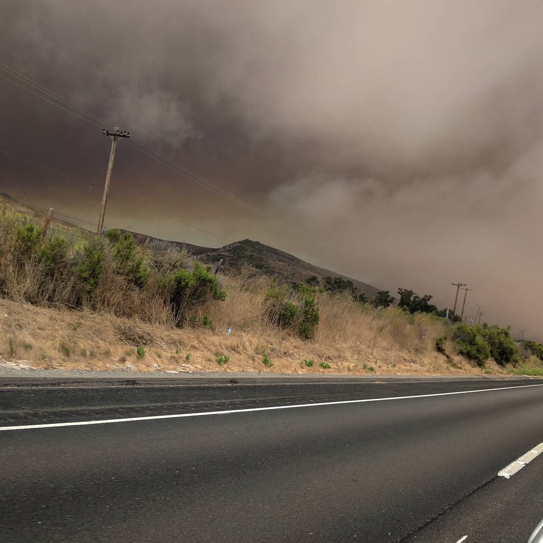 Archillect ID 391445