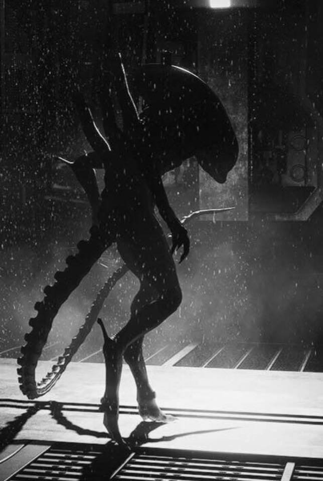 Archillect ID 391454