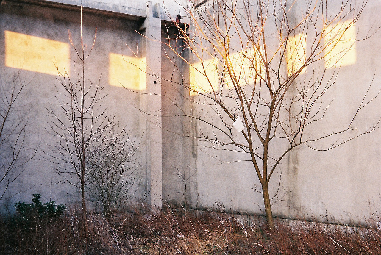 Archillect ID 391464