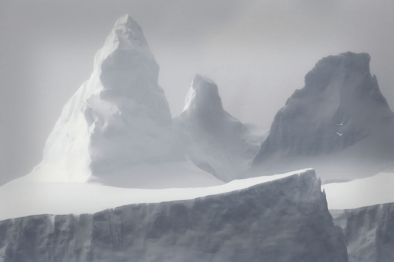 Archillect ID 391520