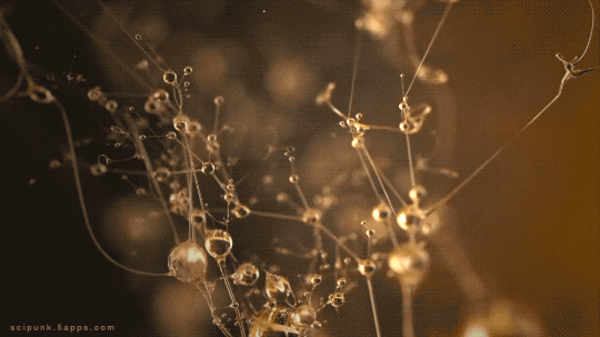 Archillect ID 391562