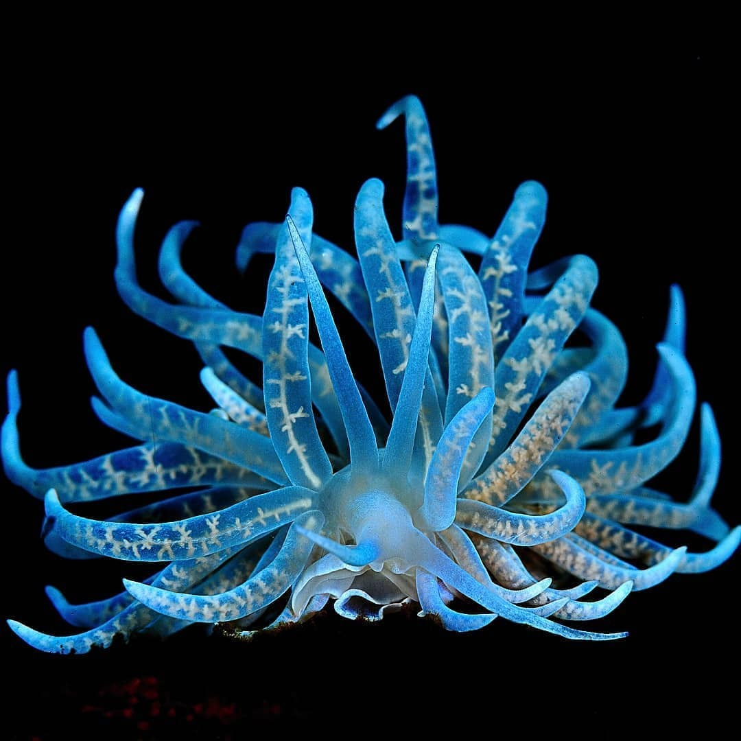 Archillect ID 391583