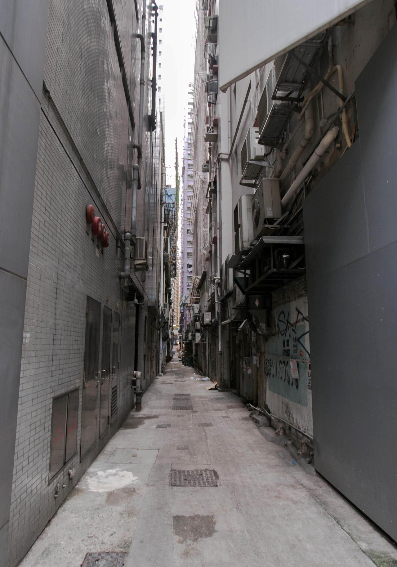 Archillect ID 391590