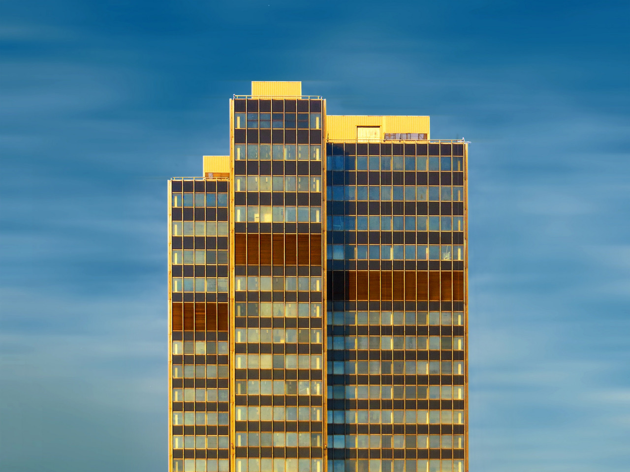 Archillect ID 391605