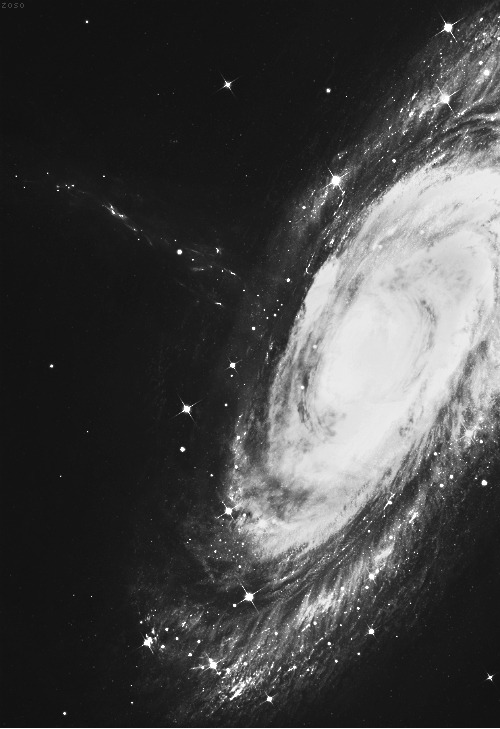 Archillect ID 391624