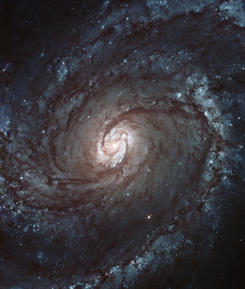 Archillect ID 391663