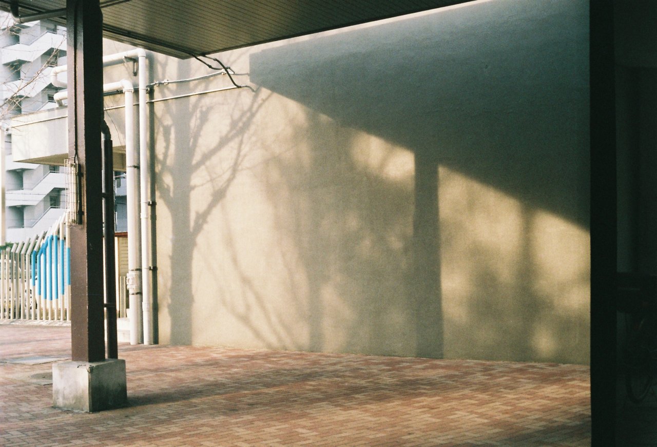 Archillect ID 391679