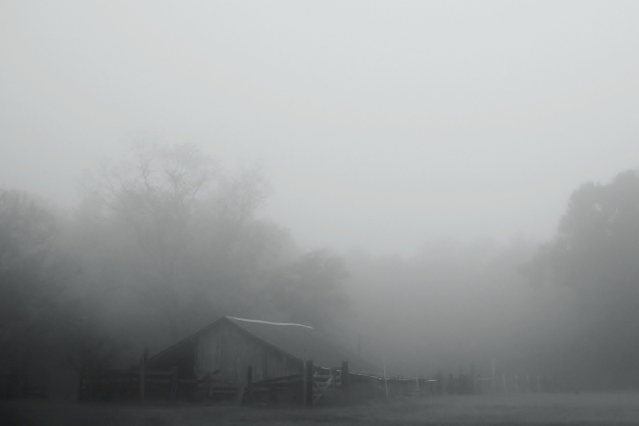 Archillect ID 391690