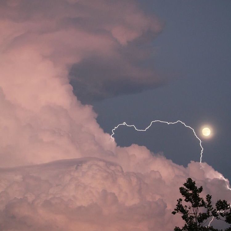 Archillect ID 391699