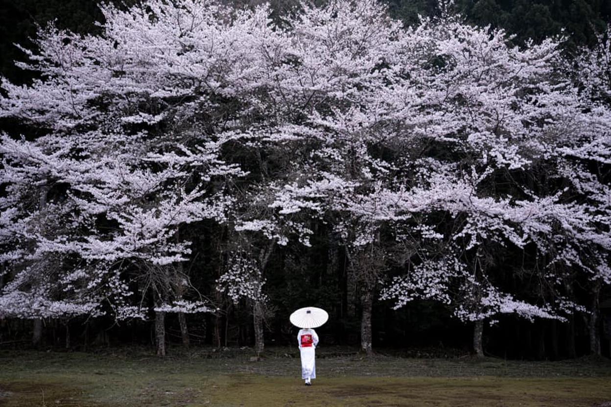 Archillect ID 391702