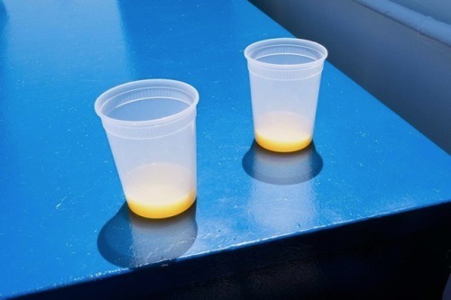 Archillect ID 391770