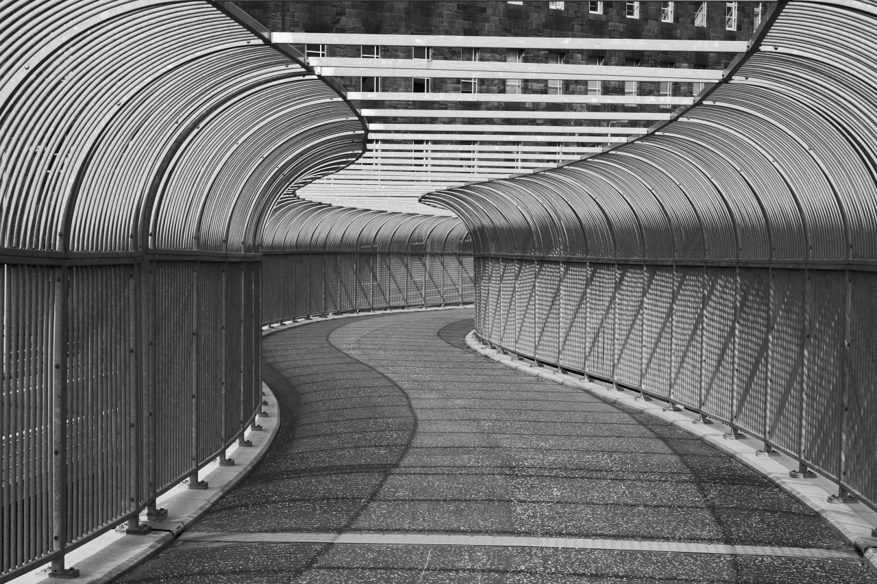 Archillect ID 391825