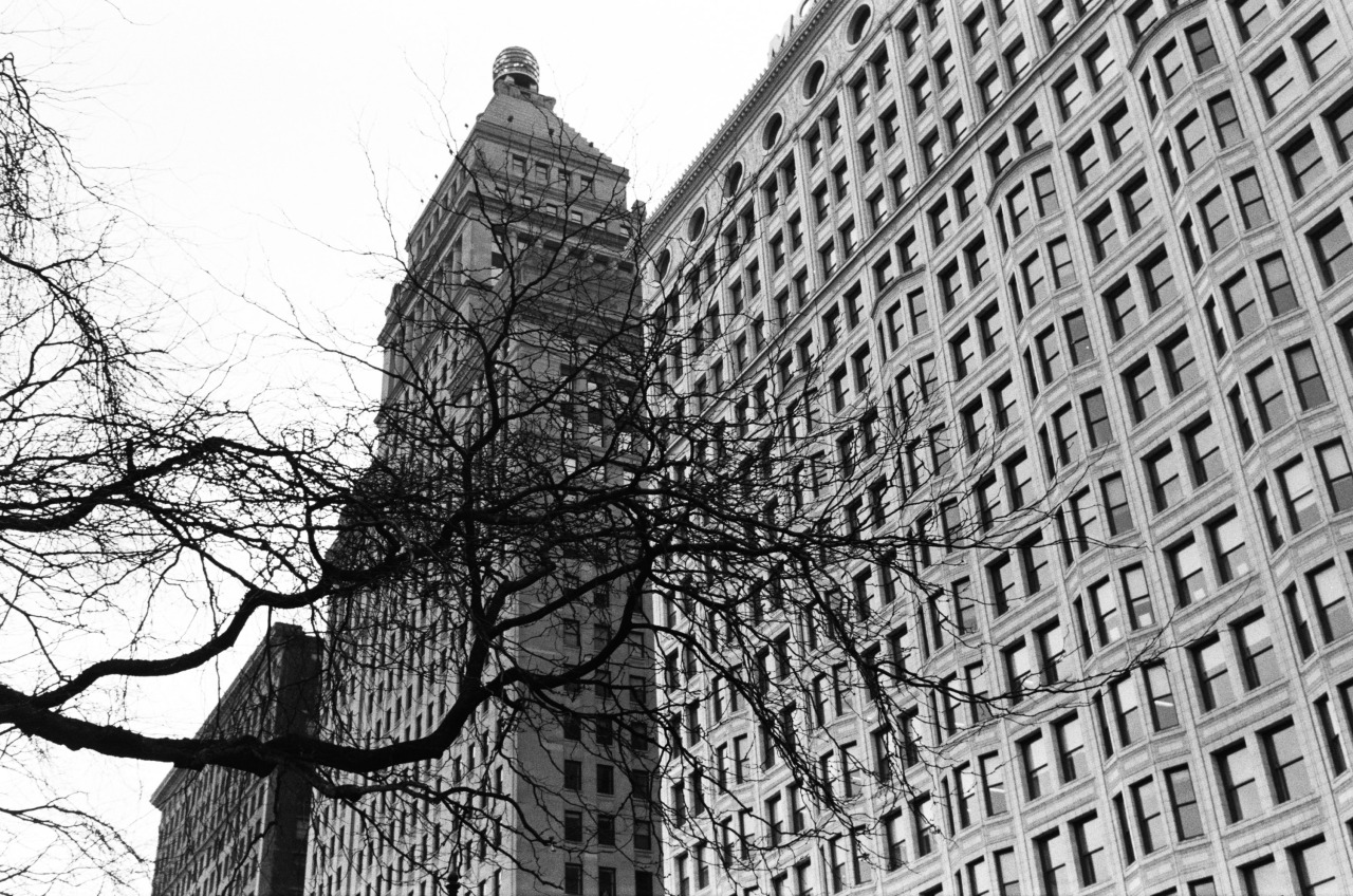 Archillect ID 391840