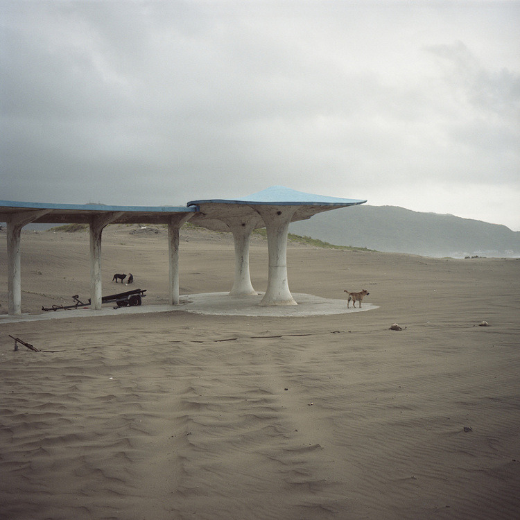 Archillect ID 391927