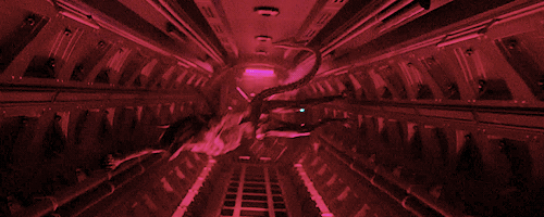 Archillect ID 391965