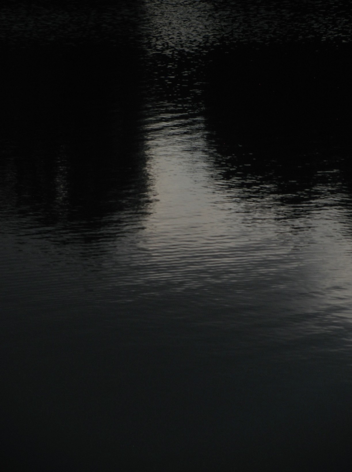 Archillect ID 391997