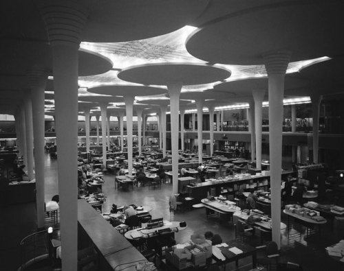 Archillect ID 392021