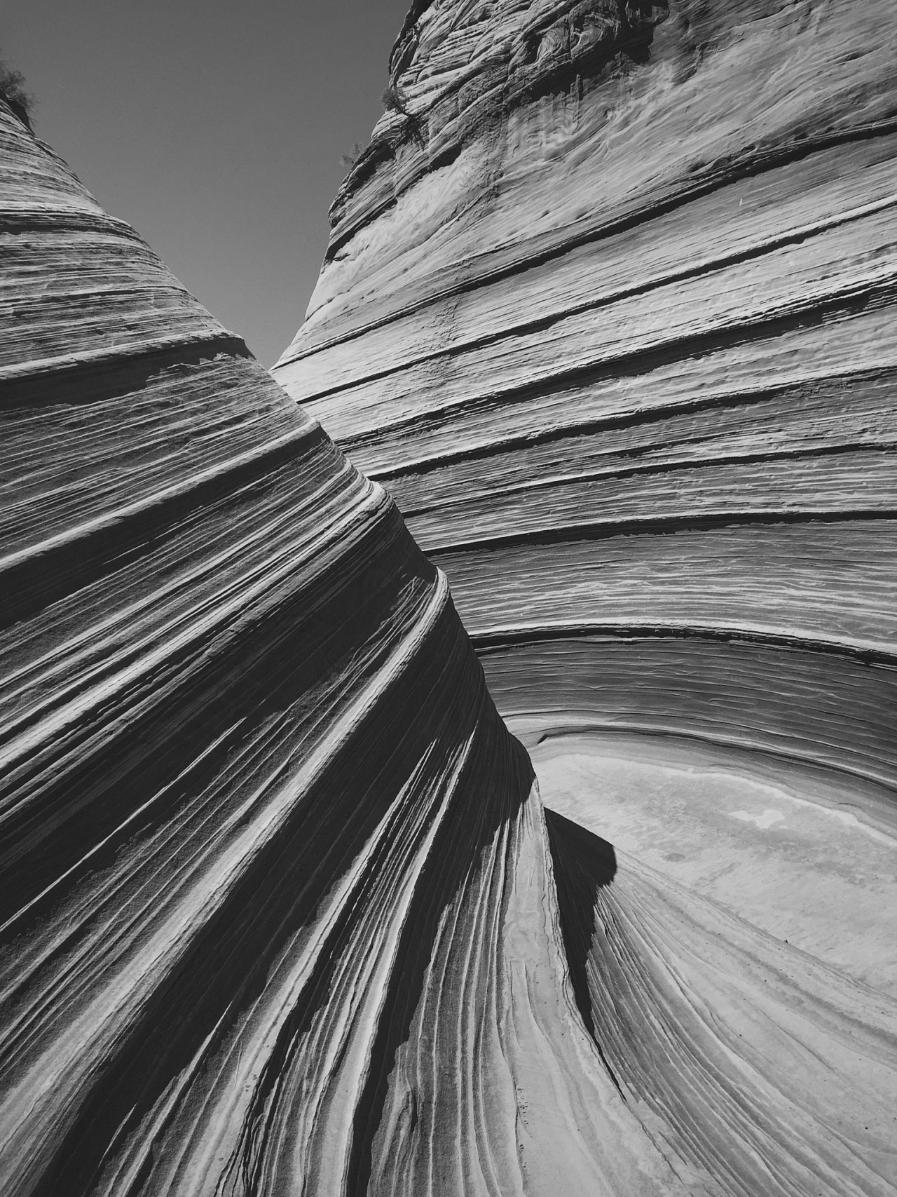 Archillect ID 392027